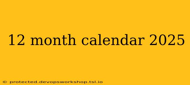 12 month calendar 2025