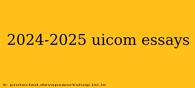 2024-2025 uicom essays