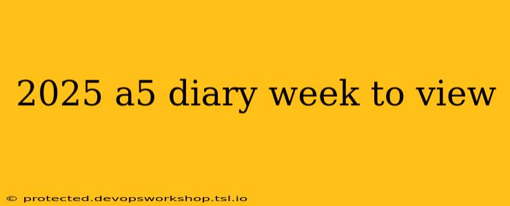 2025 a5 diary week to view