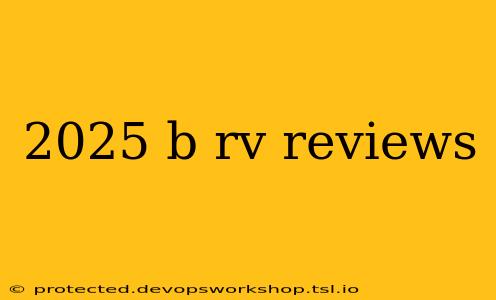 2025 b rv reviews