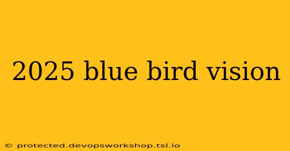 2025 blue bird vision