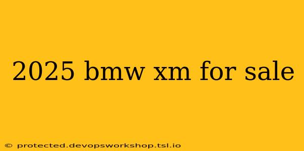 2025 bmw xm for sale