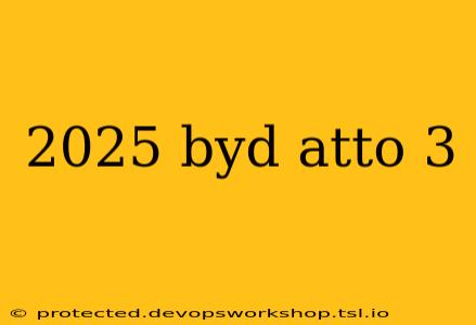 2025 byd atto 3