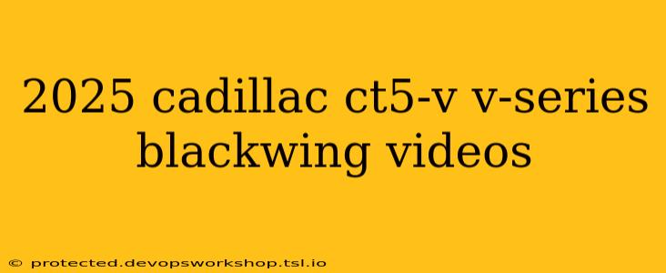 2025 cadillac ct5-v v-series blackwing videos