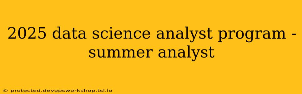 2025 data science analyst program - summer analyst