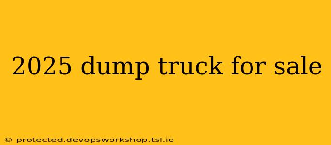 2025 dump truck for sale