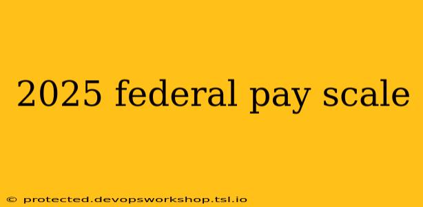 2025 federal pay scale