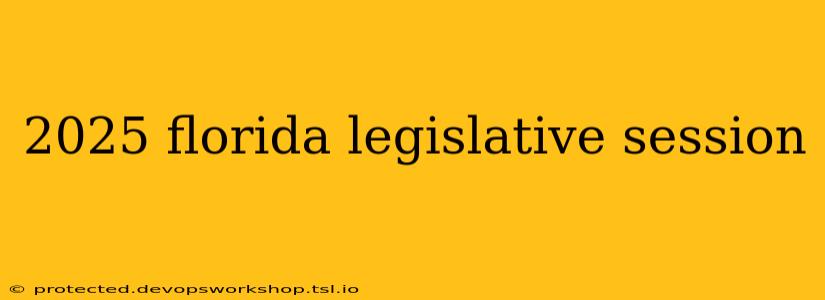 2025 florida legislative session