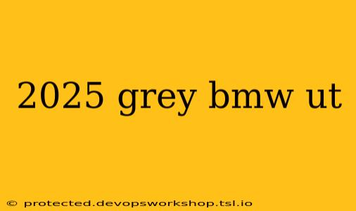 2025 grey bmw ut