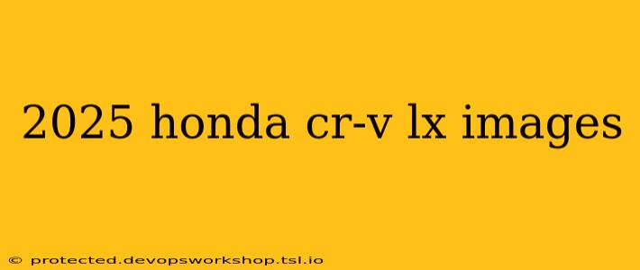 2025 honda cr-v lx images