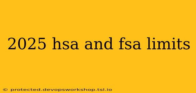 2025 hsa and fsa limits