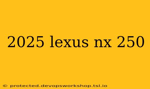 2025 lexus nx 250