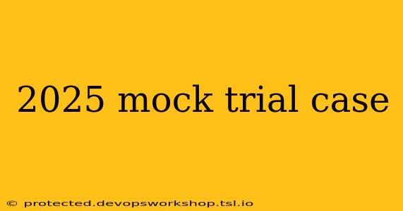 2025 mock trial case