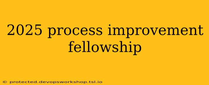 2025 process improvement fellowship