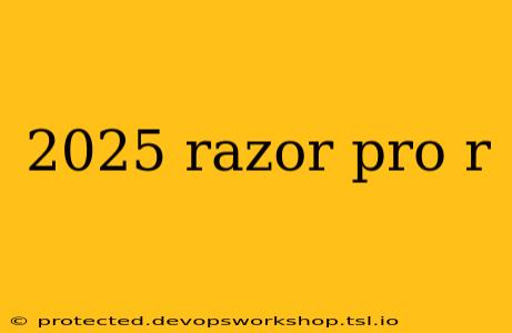 2025 razor pro r