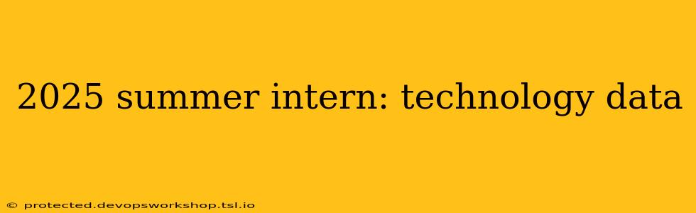 2025 summer intern: technology data