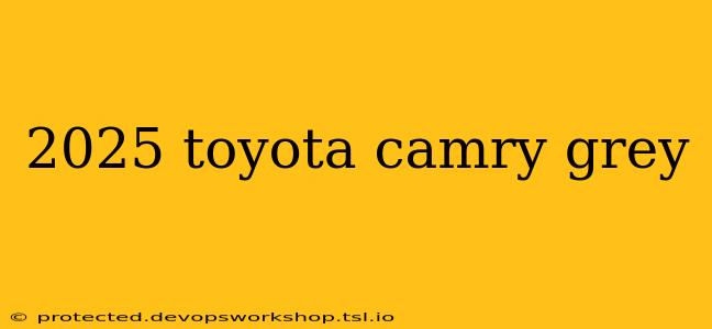 2025 toyota camry grey