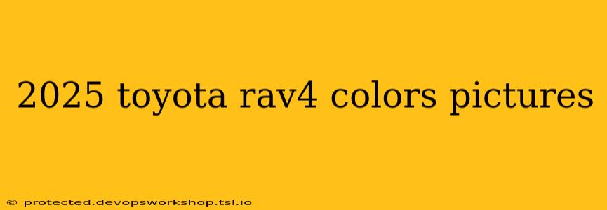 2025 toyota rav4 colors pictures