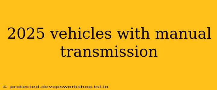 2025 vehicles with manual transmission