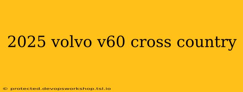 2025 volvo v60 cross country