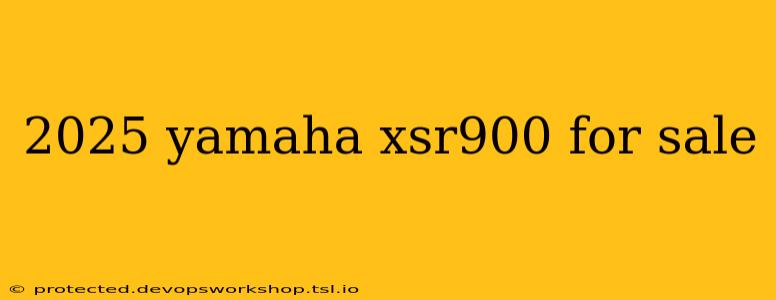 2025 yamaha xsr900 for sale