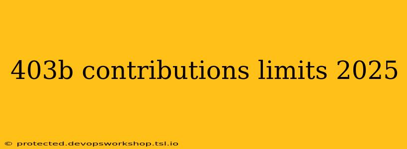 403b contributions limits 2025