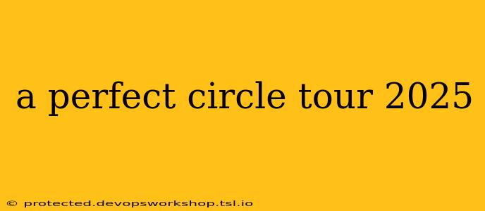 a perfect circle tour 2025