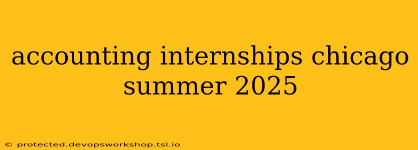 accounting internships chicago summer 2025