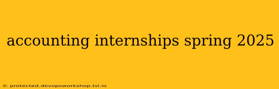 accounting internships spring 2025