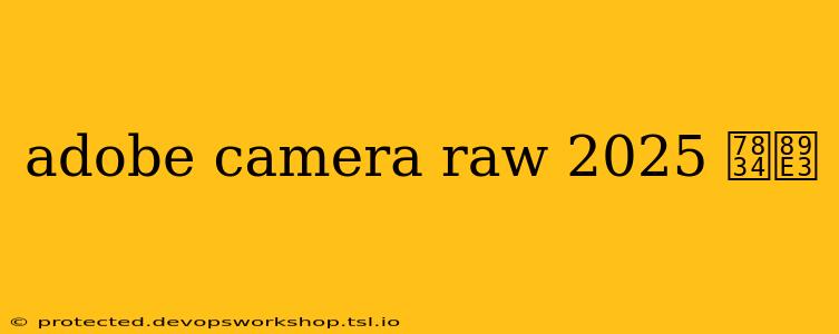 adobe camera raw 2025 破解