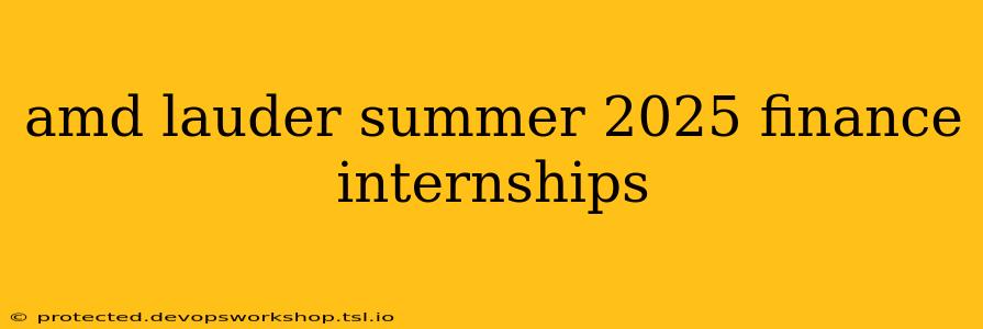 amd lauder summer 2025 finance internships