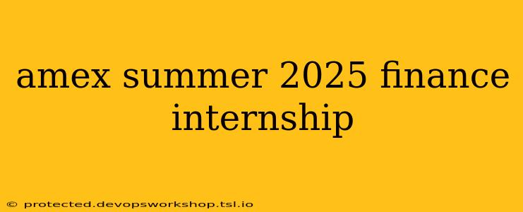 amex summer 2025 finance internship