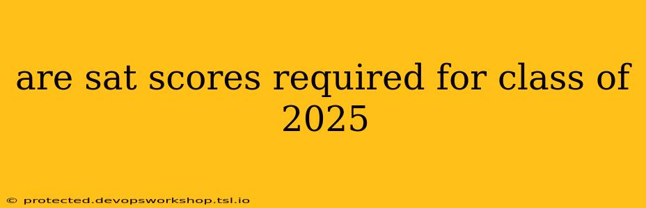 are sat scores required for class of 2025