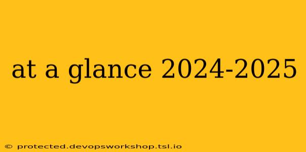 at a glance 2024-2025