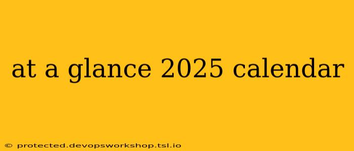 at a glance 2025 calendar