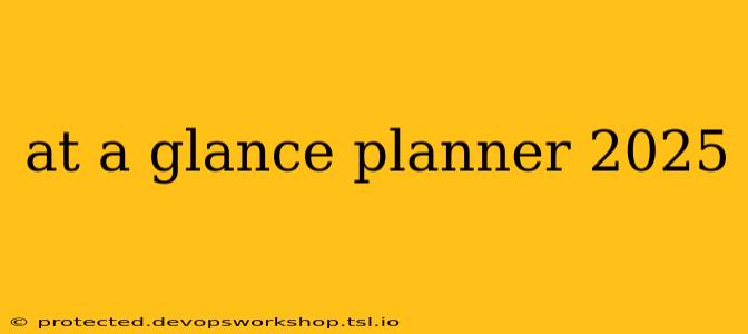 at a glance planner 2025