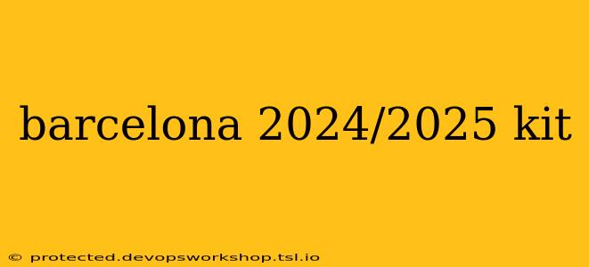 barcelona 2024/2025 kit