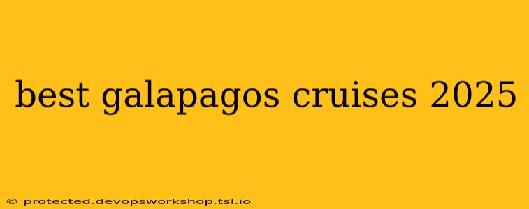 best galapagos cruises 2025