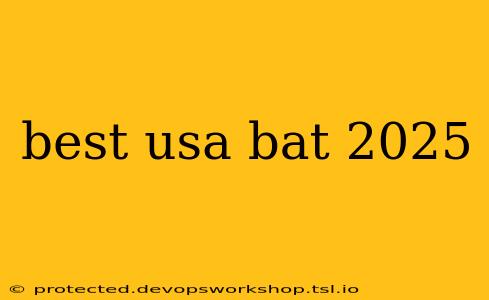 best usa bat 2025