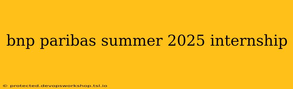 bnp paribas summer 2025 internship