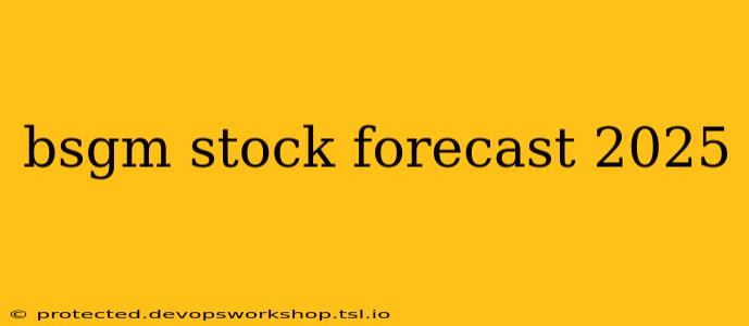 bsgm stock forecast 2025