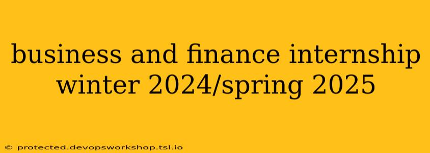 business and finance internship winter 2024/spring 2025