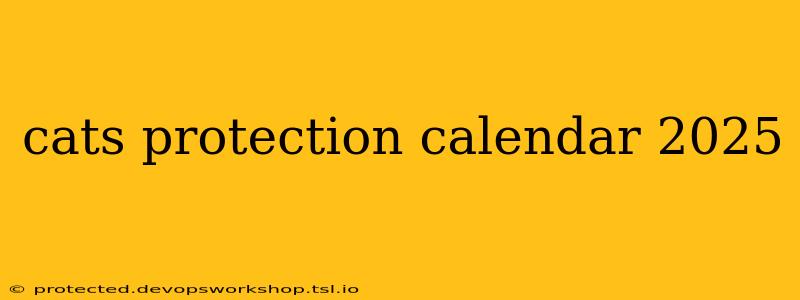 cats protection calendar 2025