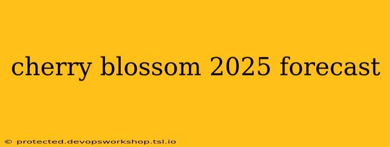 cherry blossom 2025 forecast