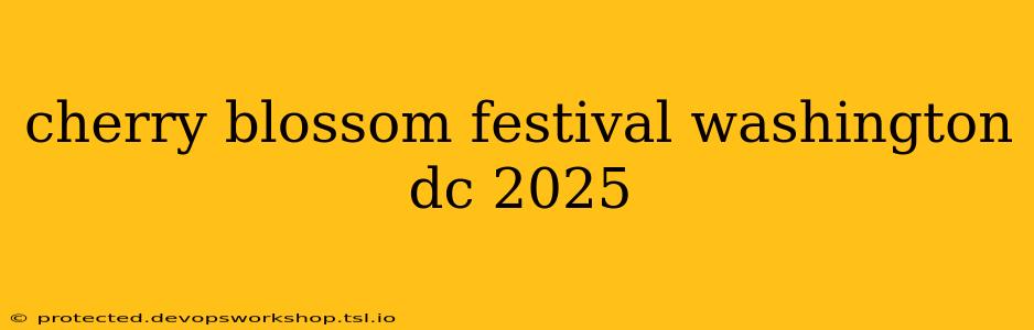 cherry blossom festival washington dc 2025