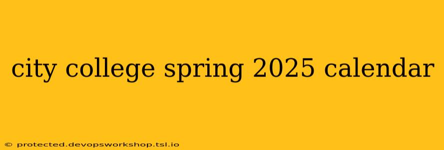 city college spring 2025 calendar