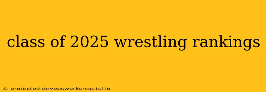 class of 2025 wrestling rankings