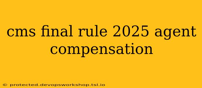 cms final rule 2025 agent compensation