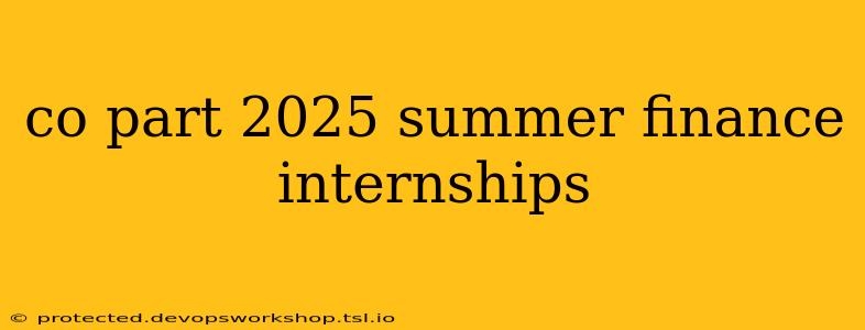 co part 2025 summer finance internships