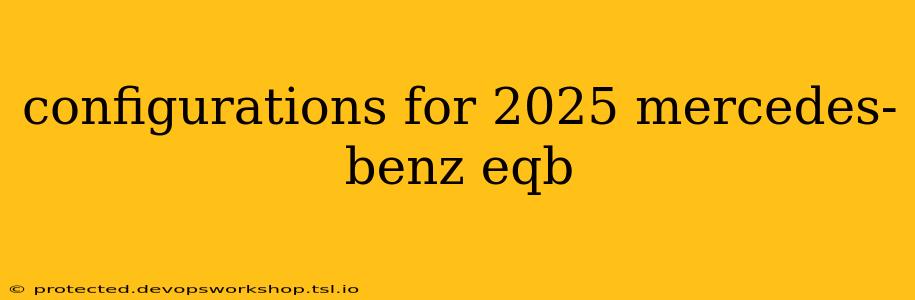 configurations for 2025 mercedes-benz eqb